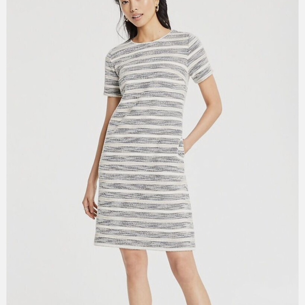 Ann Taylor textured stripe knit dress M